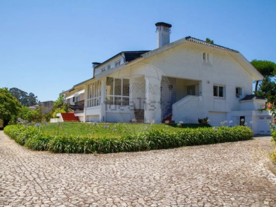 Eixo - Aveiro, 11 Bedrooms Bedrooms, 0 ,1 BathroomBathrooms,Land,For Sale,0,1158 Eixo - Aveiro, 11 Bedrooms Bedrooms, 0 ,1 BathroomBathrooms,Land,For Sale,0,1158