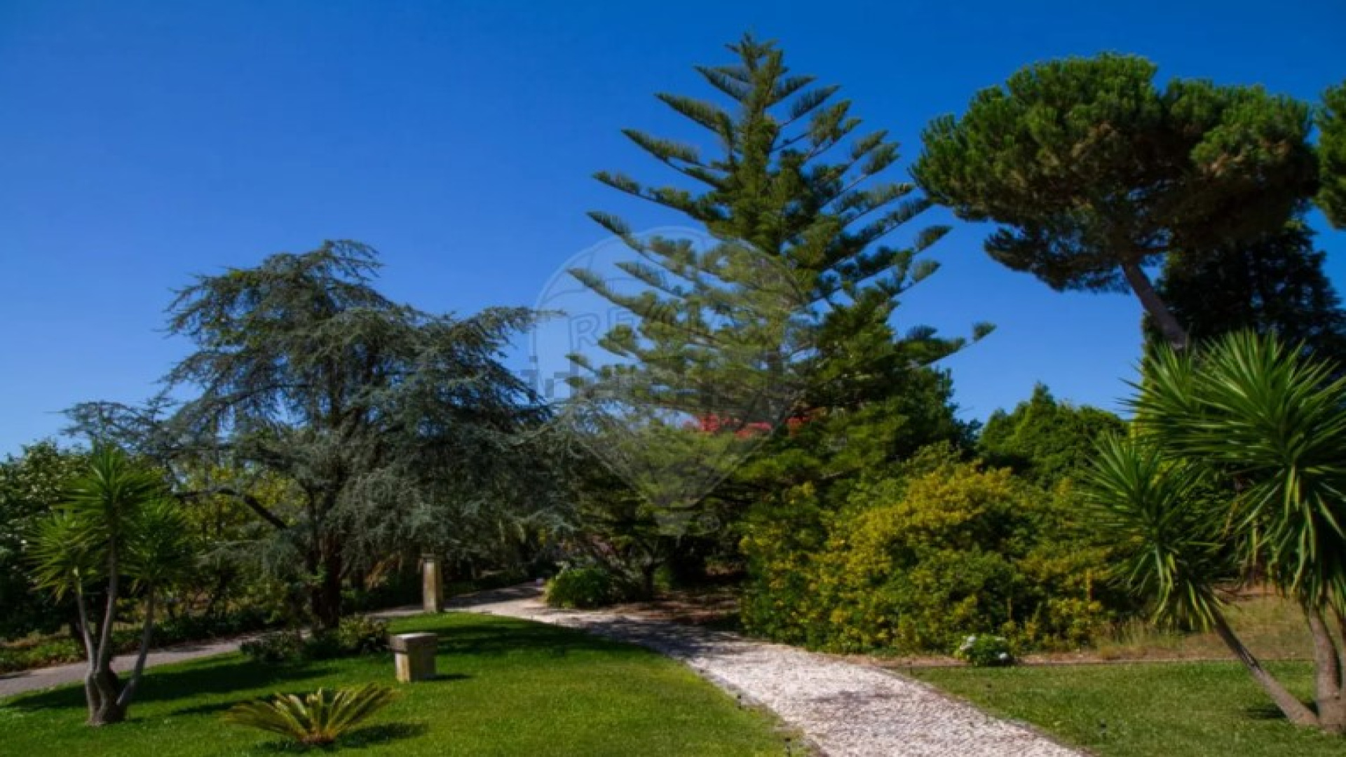 Eixo - Aveiro, 11 Bedrooms Bedrooms, 0 ,1 BathroomBathrooms,Land,For Sale,0,1158