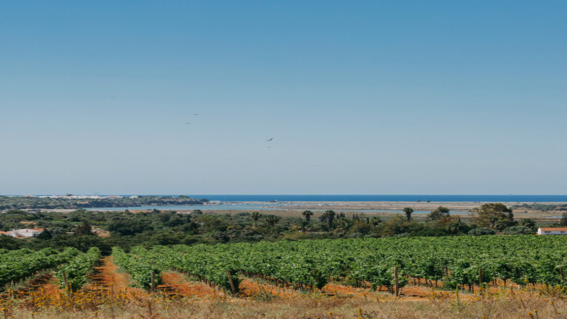 Aguieira - Agueda, 0 , 0 ,0,Land,For Sale,0,1178