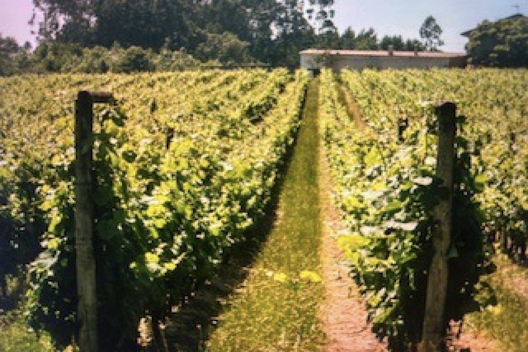 Agueda - Aguieira, 0 , 0 ,0,Land,For Sale,0,1046