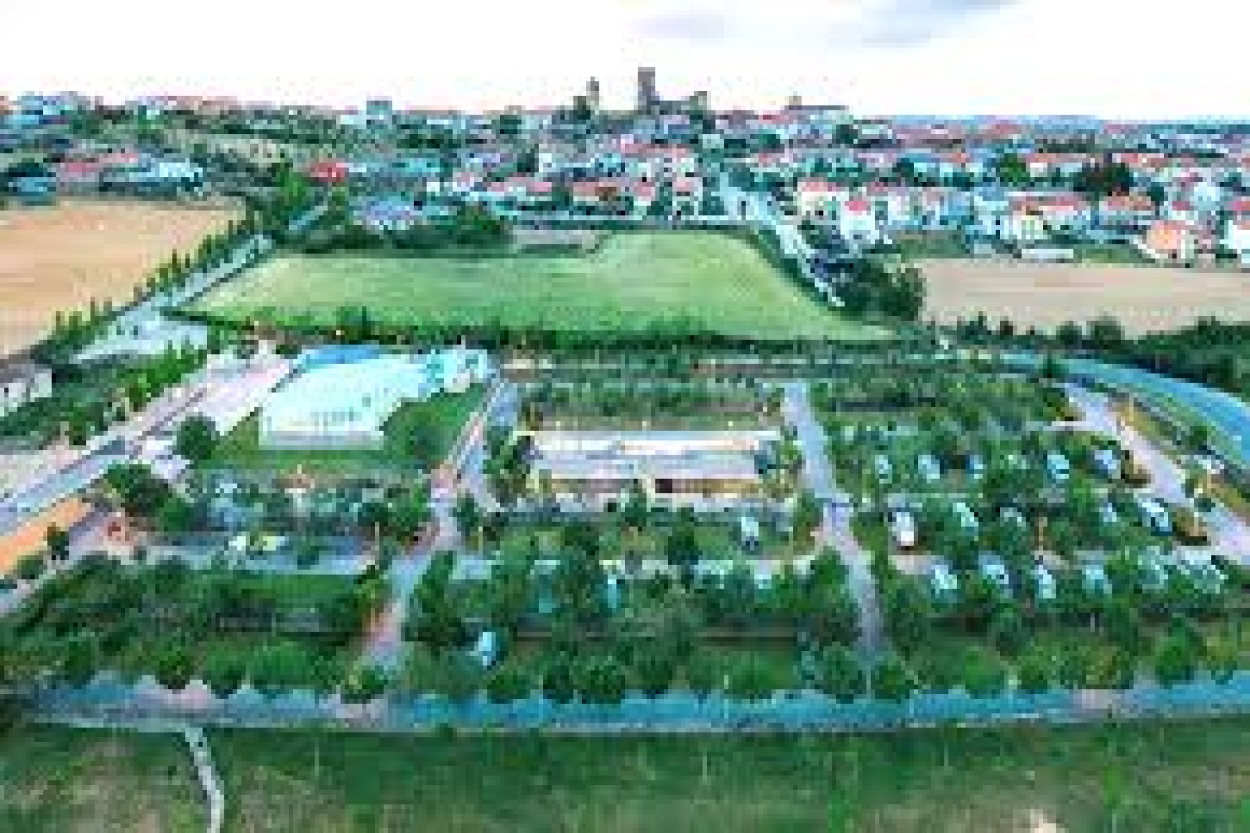 Agueda - Aguieira, 0 , 0 ,0,Land,For Sale,0,1046